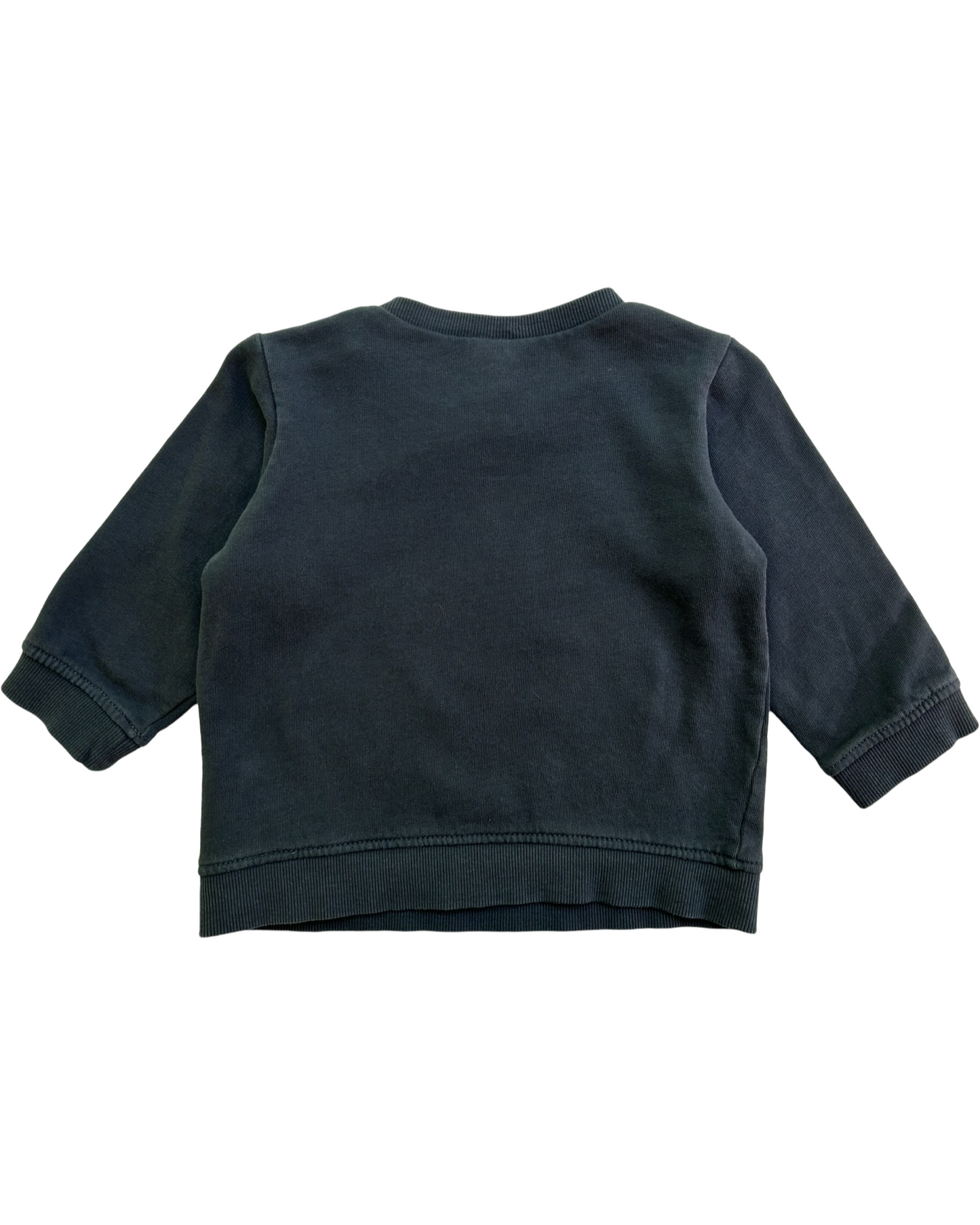 18M Baby Boy H&M Sweatshirt With Motif Lion