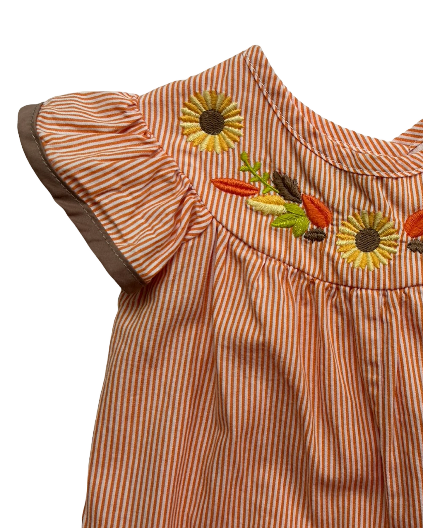 6M-9M Baby Girls Lil Cactus Smocked Embroidered Romper One Piece.