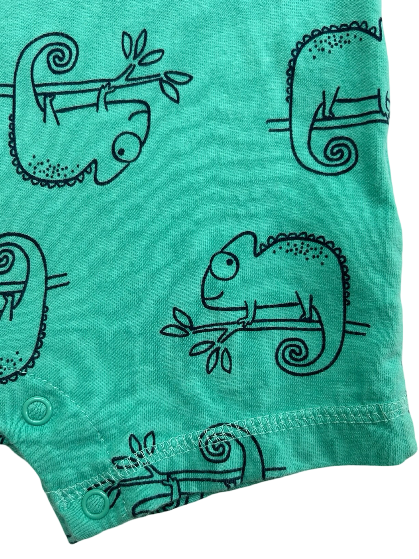 12M Baby Boy Carters Chameleon Romper.