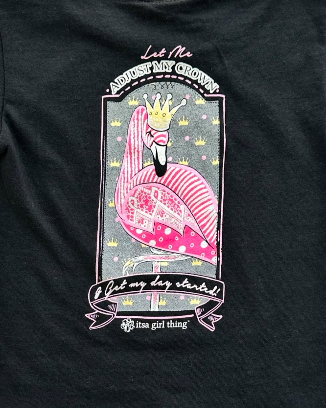 3T Toddler Girl Black It’s A Girl Thing Flamingo T-Shirt Top