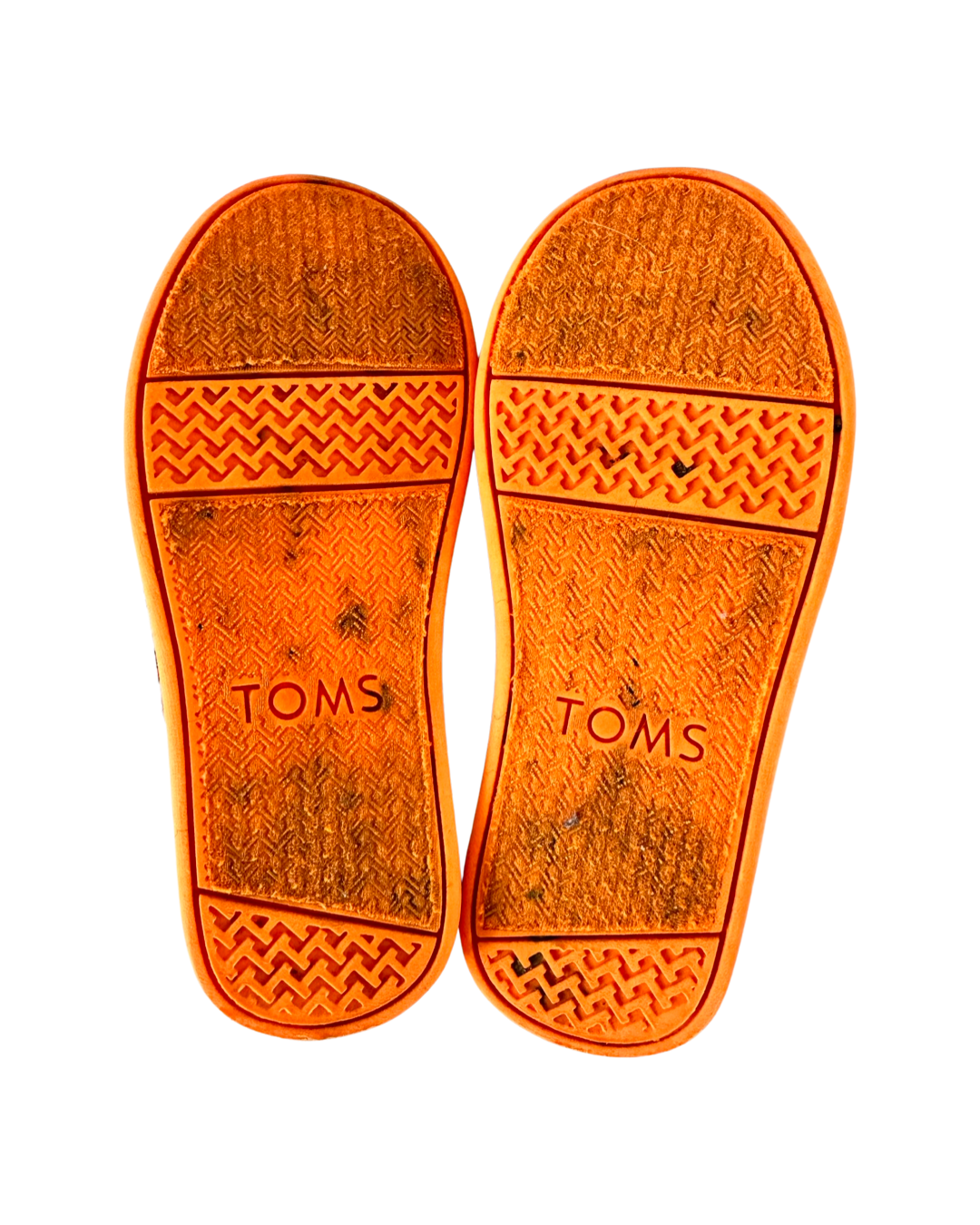 9C Toddler Boy / Girl Size Toms Sesame Street Elmo Canvas Shoes