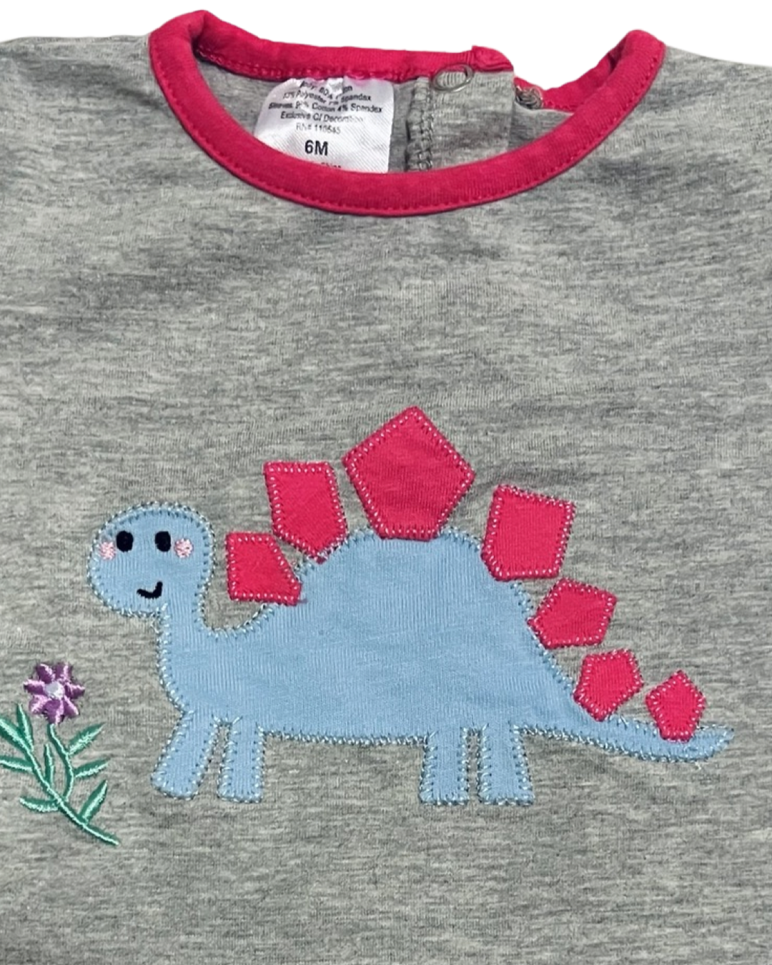 6M Baby Girl Long Sleeve Boutique Dino Shirt