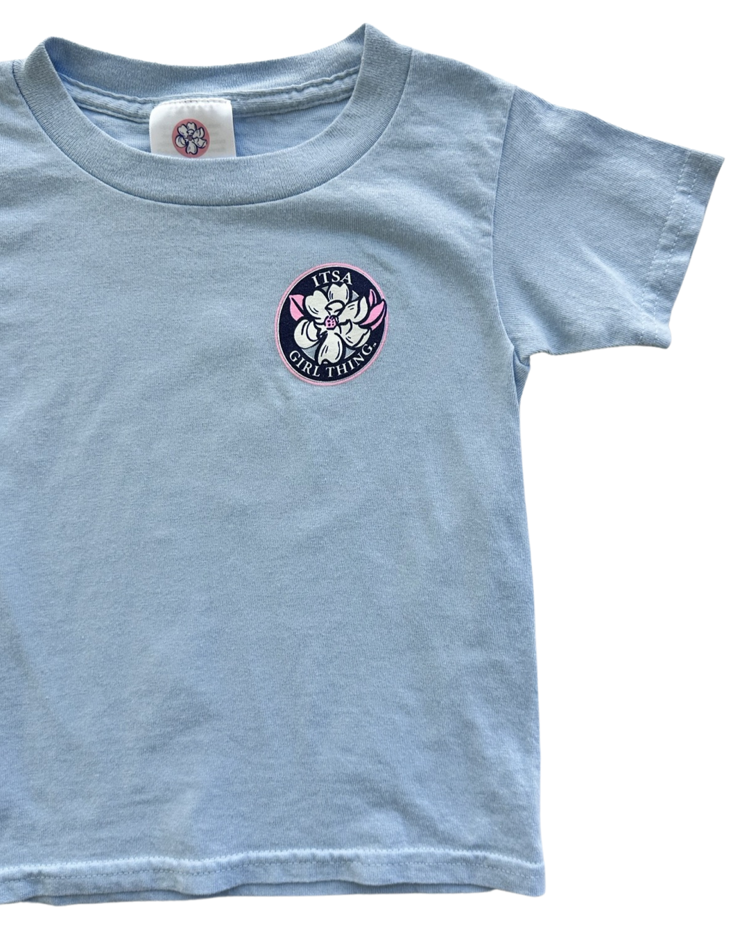 3T Toddler Girl Blue It’s A Girl Thing T-Shirt Top