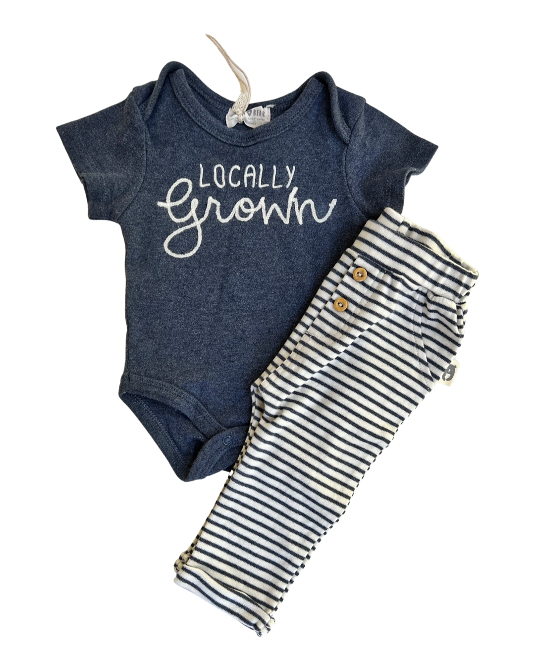 0-3M Baby Boy Rabbit + Bear Locally Grown Onesie Jogger Set