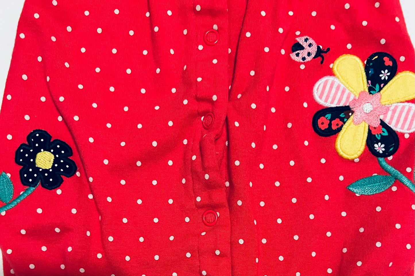 3M Baby Girl Carters Flower Ladybug Bubble Romper