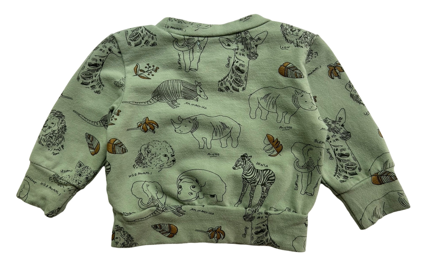 6M-9M Baileys Blossoms Baby Boy Sweater