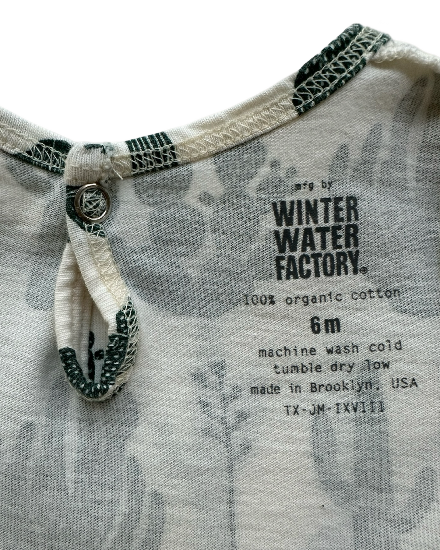 6M Baby Girls Winter Water Factory Long  Sleeve Little Girls Cactus 🌵 🌵 Dress Organic Cotton.