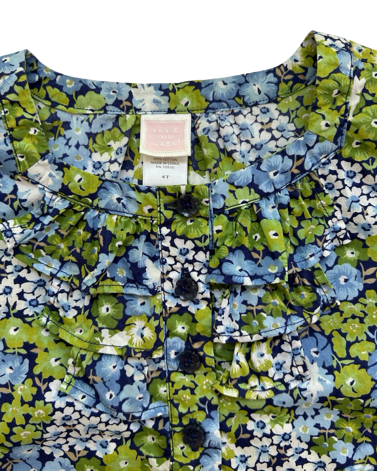 4T Toddlers Girls Janie & Jack Enchanted Garden Ruffle Floral Fairy Short Sleeve Top Blouse.