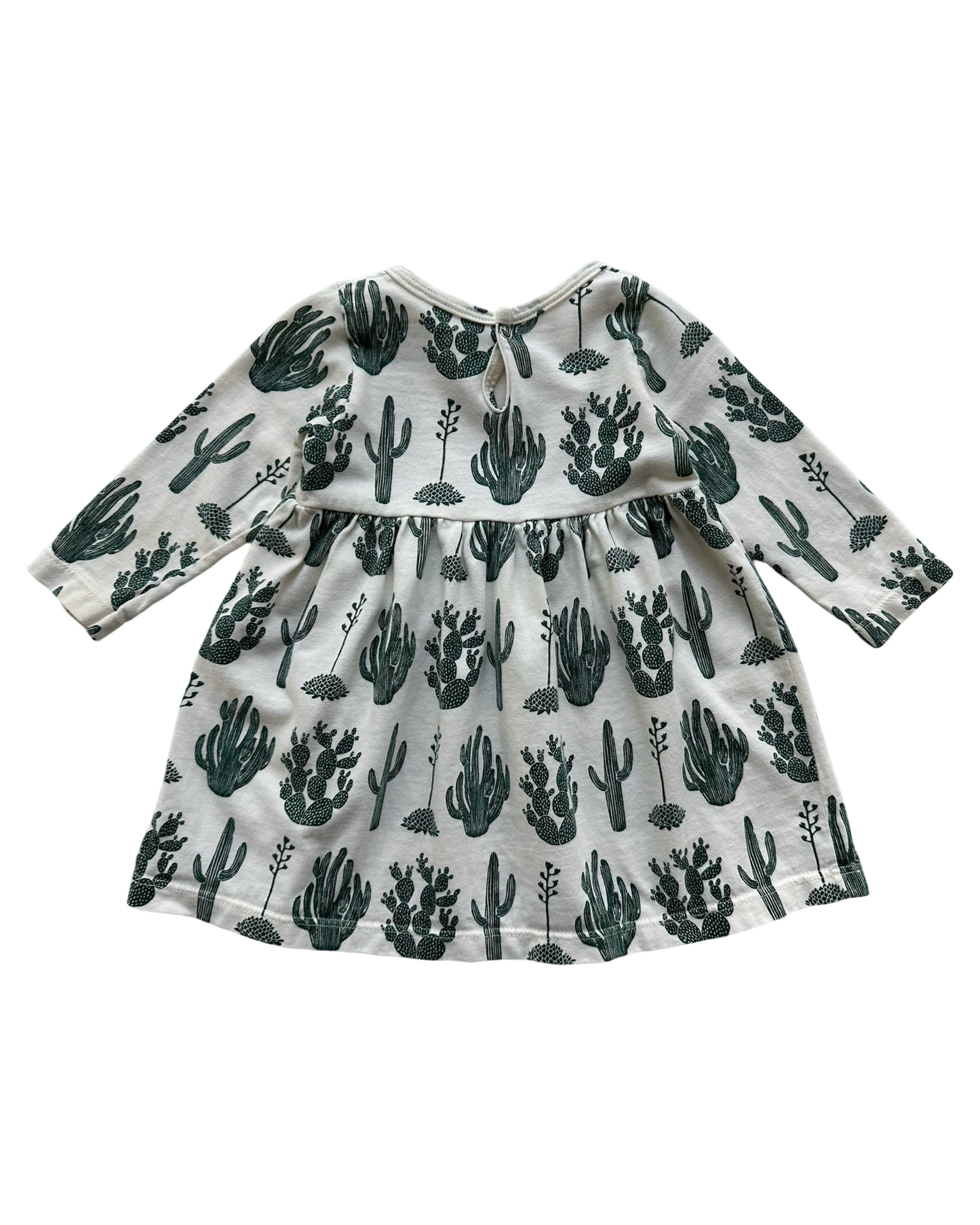 6M Baby Girls Winter Water Factory Long  Sleeve Little Girls Cactus 🌵 🌵 Dress Organic Cotton.