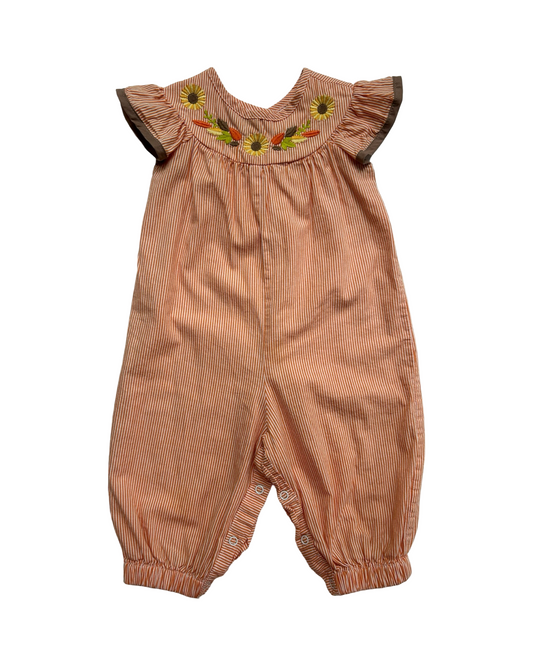 6M-9M Baby Girls Lil Cactus Smocked Embroidered Romper One Piece.