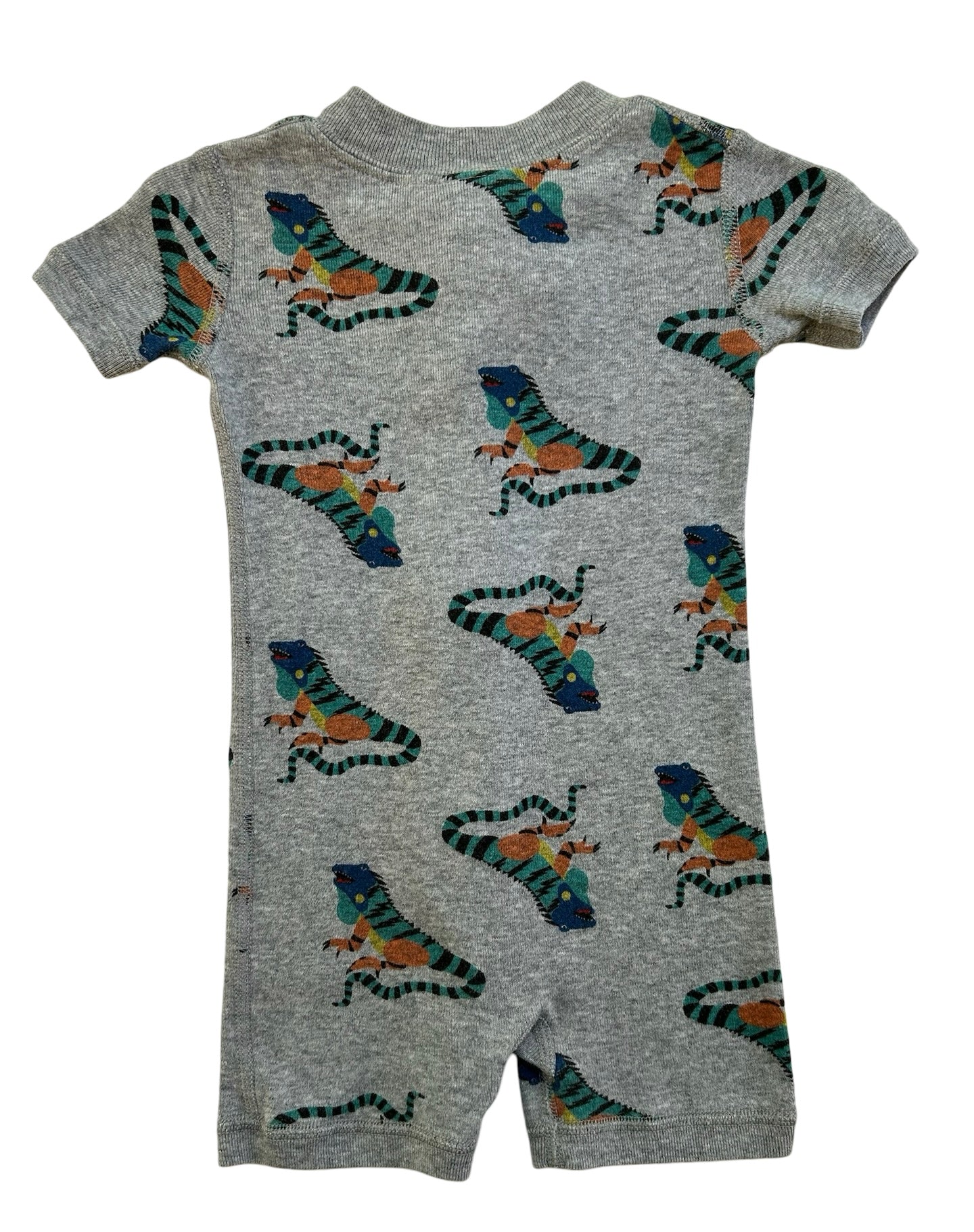 3M-6M Baby Boy’s Hanna Andersson Iguanas Zippered Sleeper PJs.