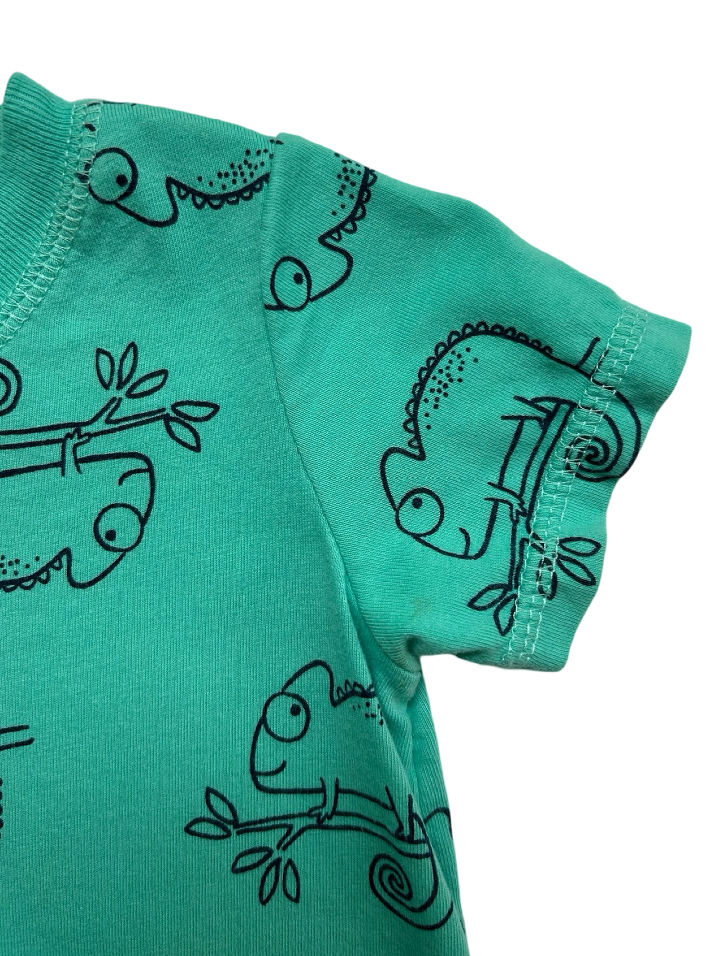 12M Baby Boy Carters Chameleon Romper.