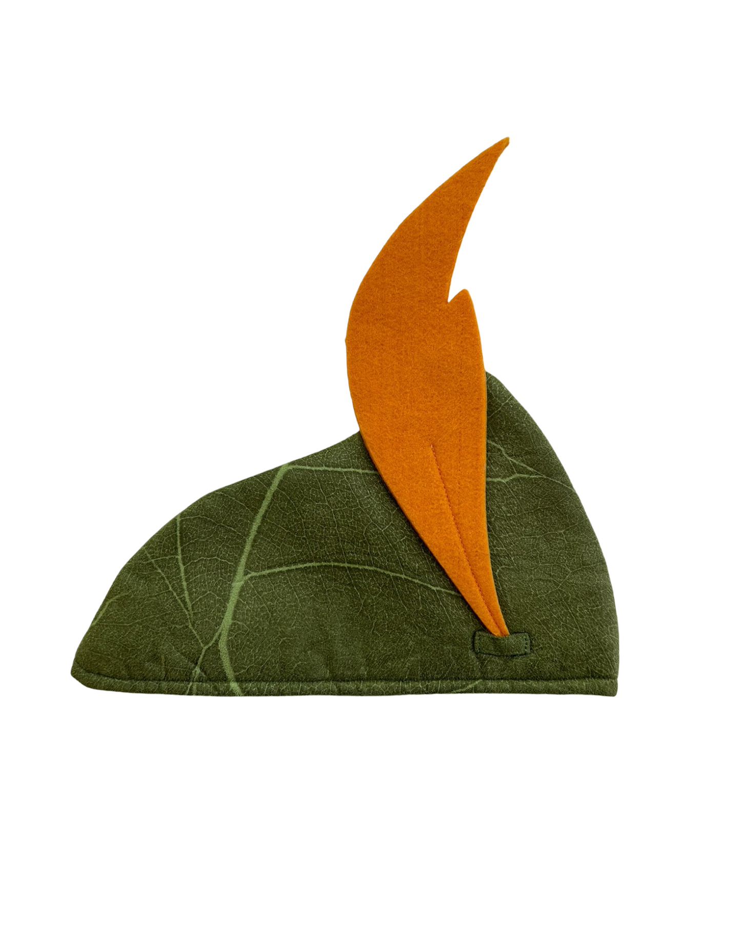 4T Toddler Boy Authentic Disney Store Peter Pan Costume