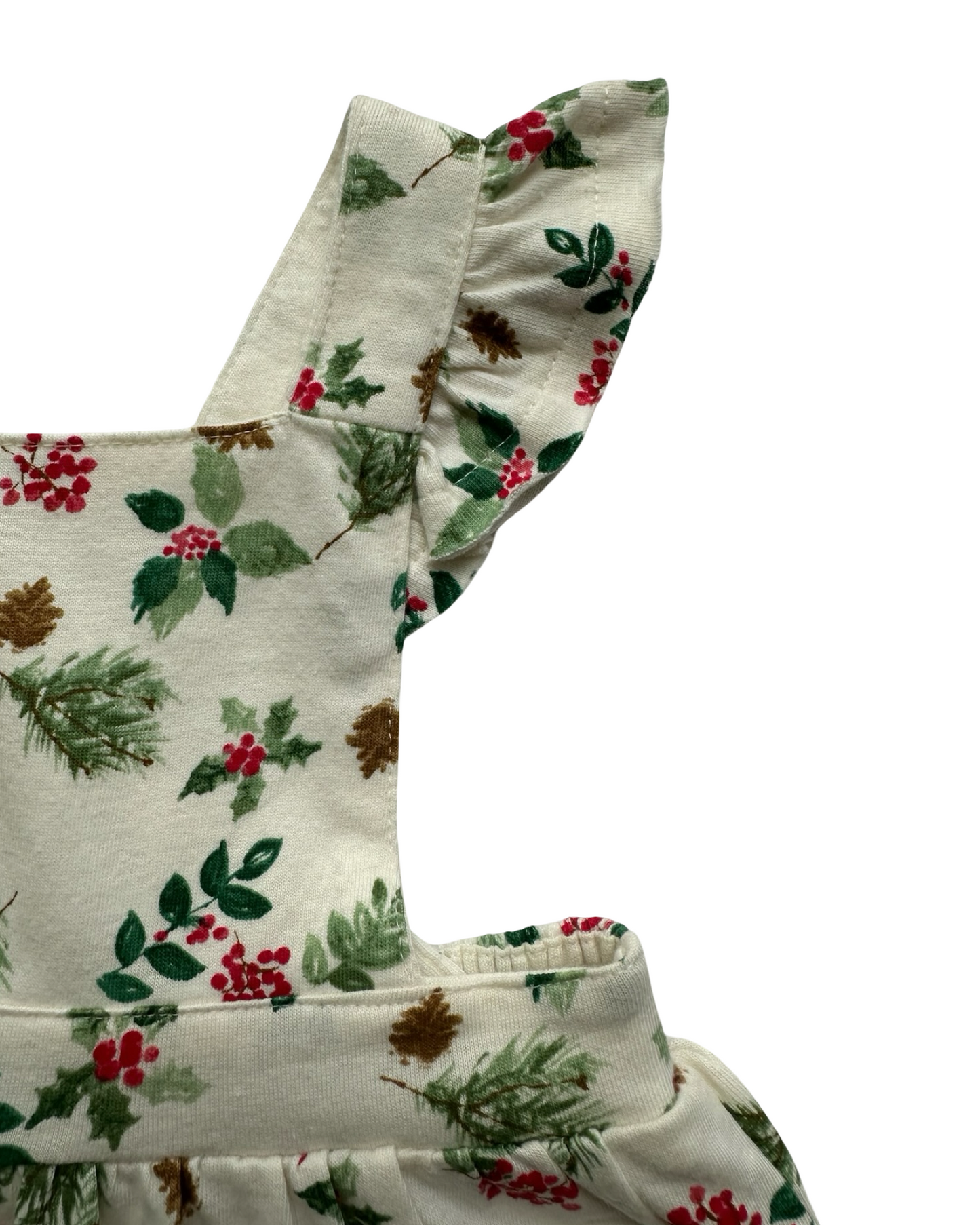 0-3M Baby Girl Burt’s Bees Nature’s Holiday Organic Cotton Dress