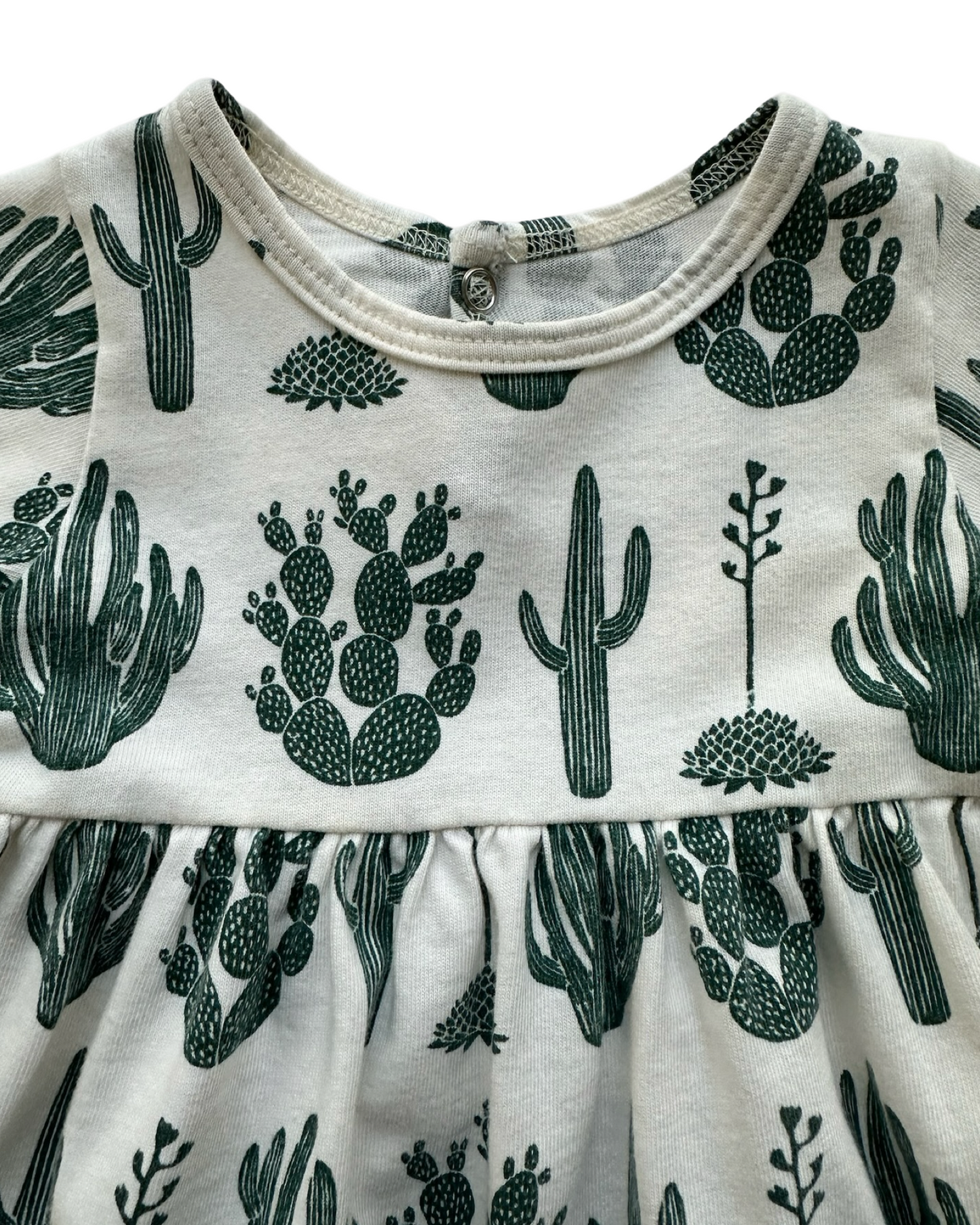 6M Baby Girls Winter Water Factory Long  Sleeve Little Girls Cactus 🌵 🌵 Dress Organic Cotton.