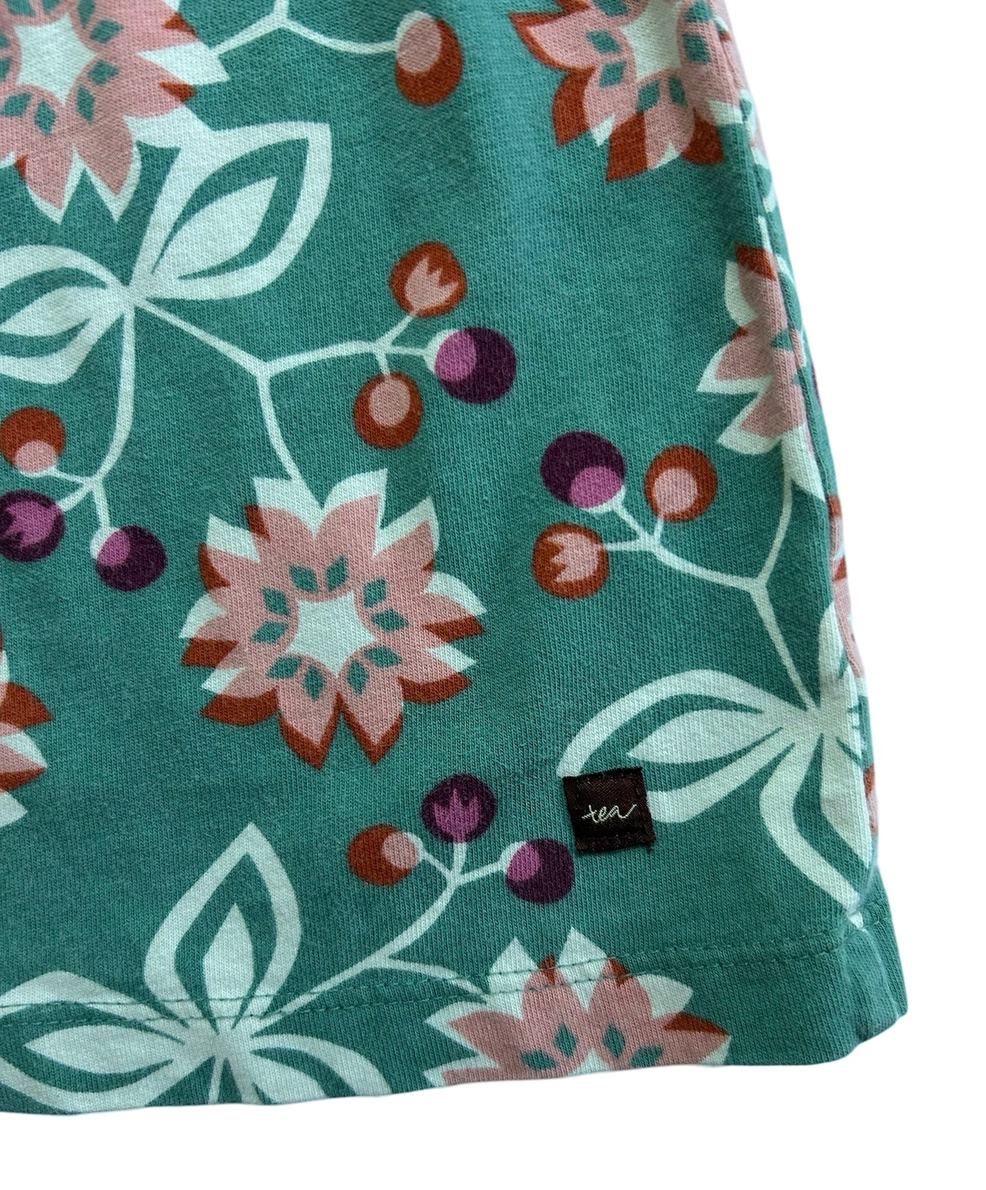 2T Toddler Girl Tea Collection Floral Purple Trim Long Sleeve Dress