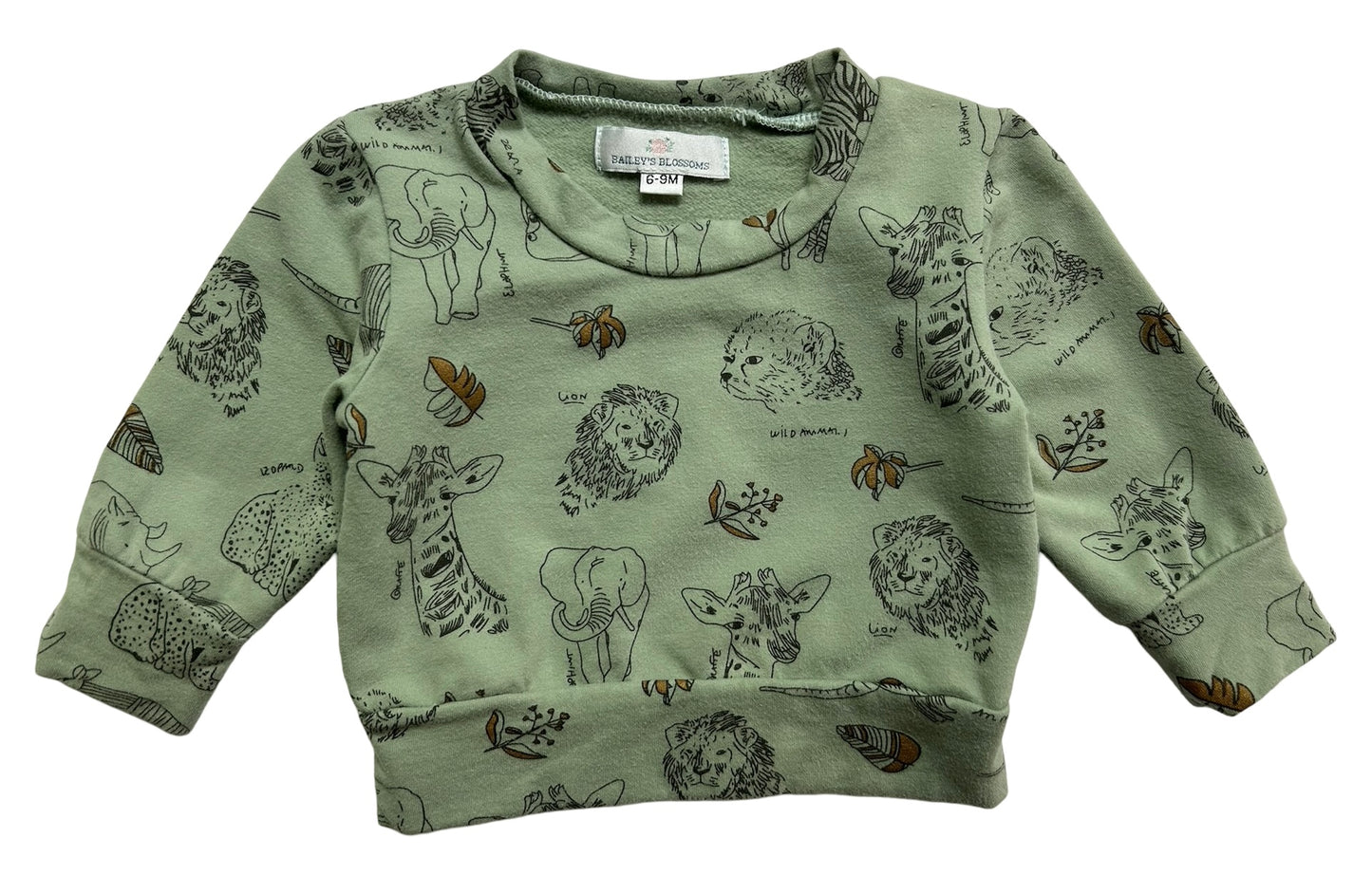 6M-9M Baileys Blossoms Baby Boy Sweater