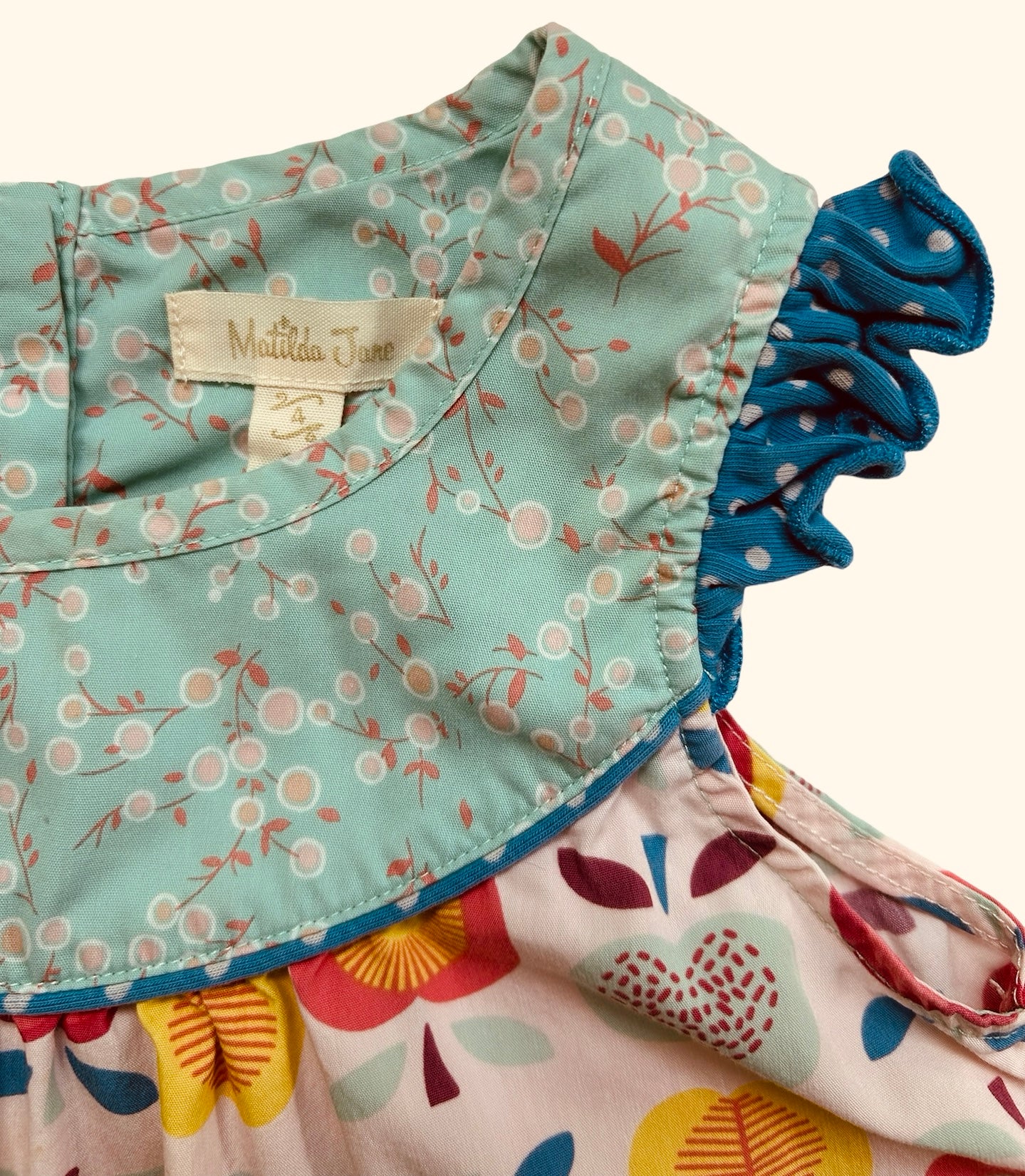 4T Toddler Girl Matilda Jane Lucia Shabby Apple Tunic Top