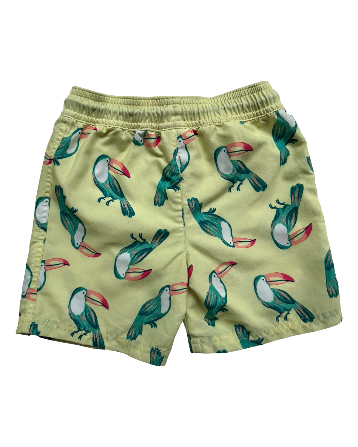 3T/3A Toddler Boys Carter’s Tucan RashGuard And Swim Trunks Short
