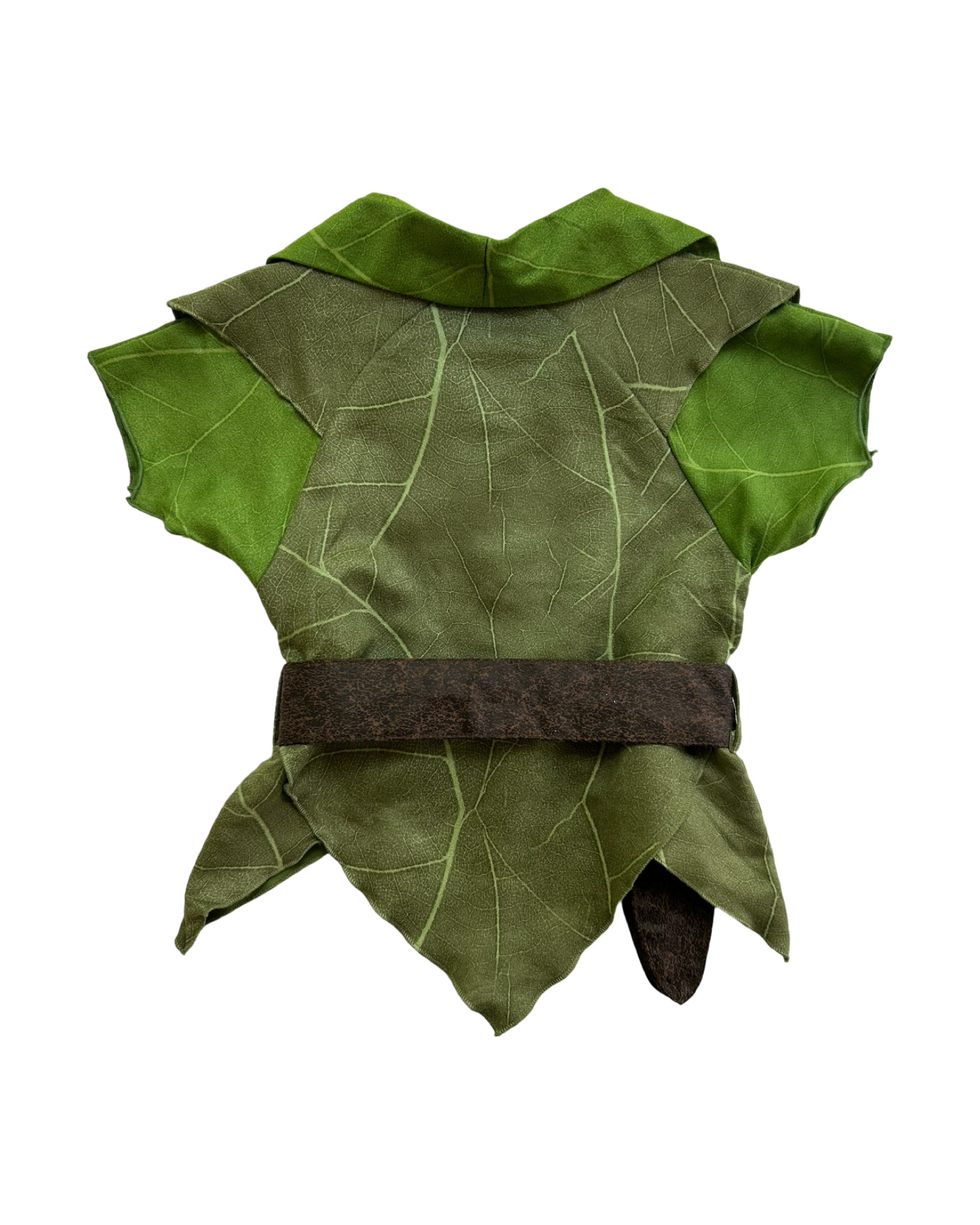 4T Toddler Boy Authentic Disney Store Peter Pan Costume