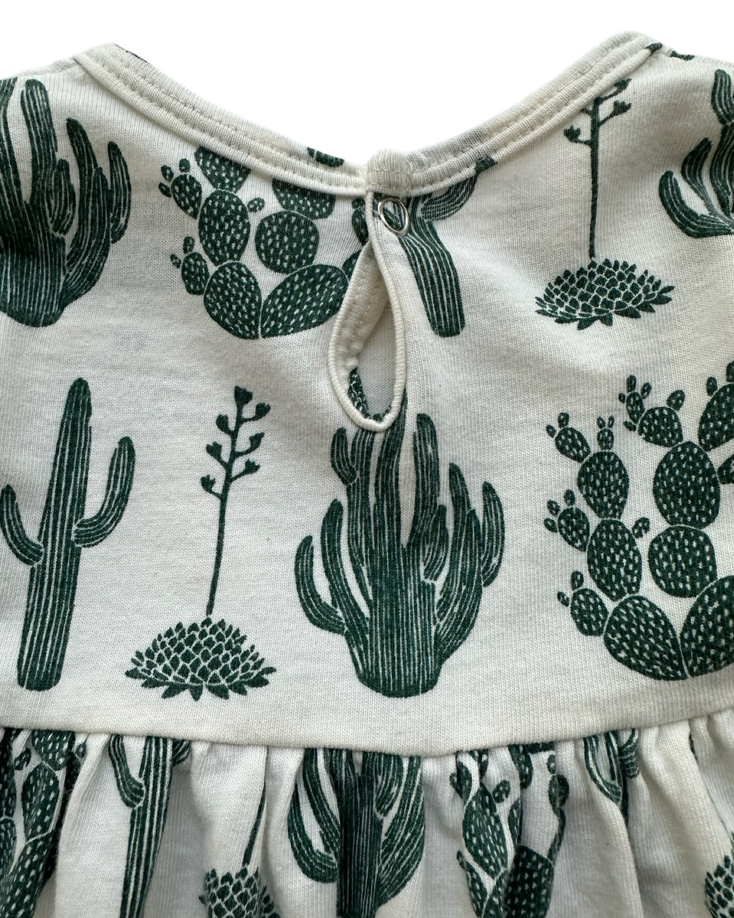 6M Baby Girls Winter Water Factory Long  Sleeve Little Girls Cactus 🌵 🌵 Dress Organic Cotton.