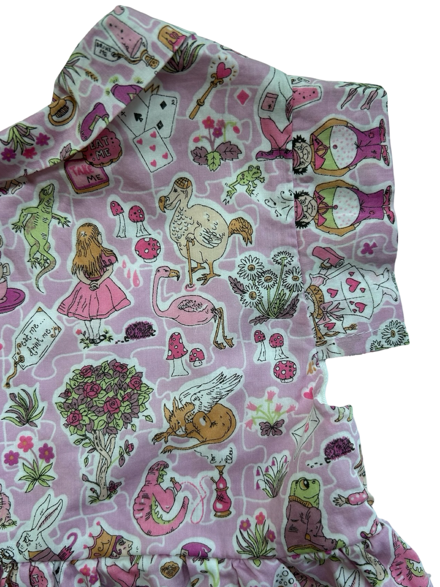 2T Toddler Baby Alice In Wonderland Dress.