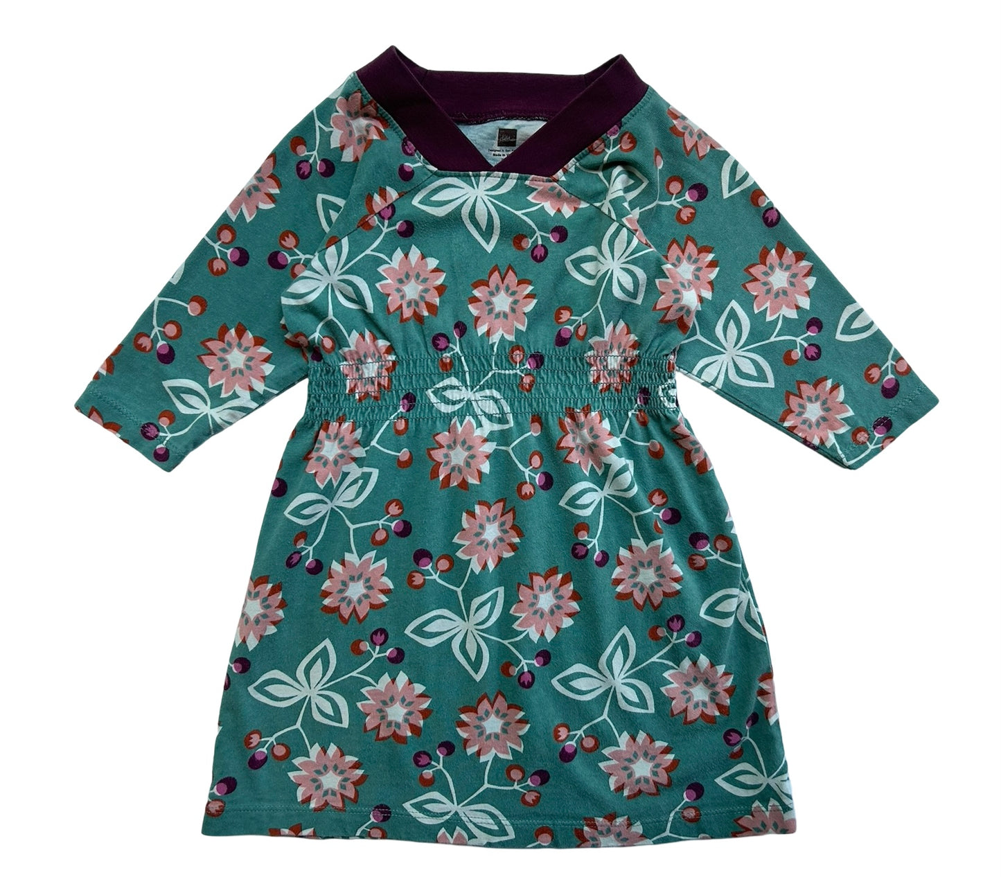 2T Toddler Girl Tea Collection Floral Purple Trim Long Sleeve Dress