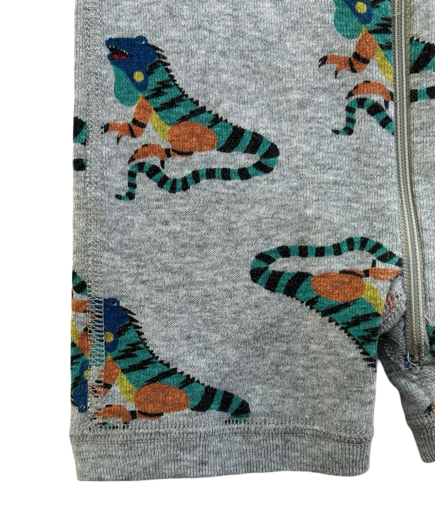 3M-6M Baby Boy’s Hanna Andersson Iguanas Zippered Sleeper PJs.
