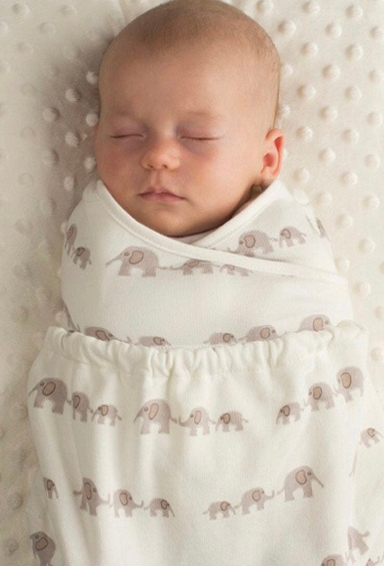 ErgoBaby Original Swaddler Elephant Design