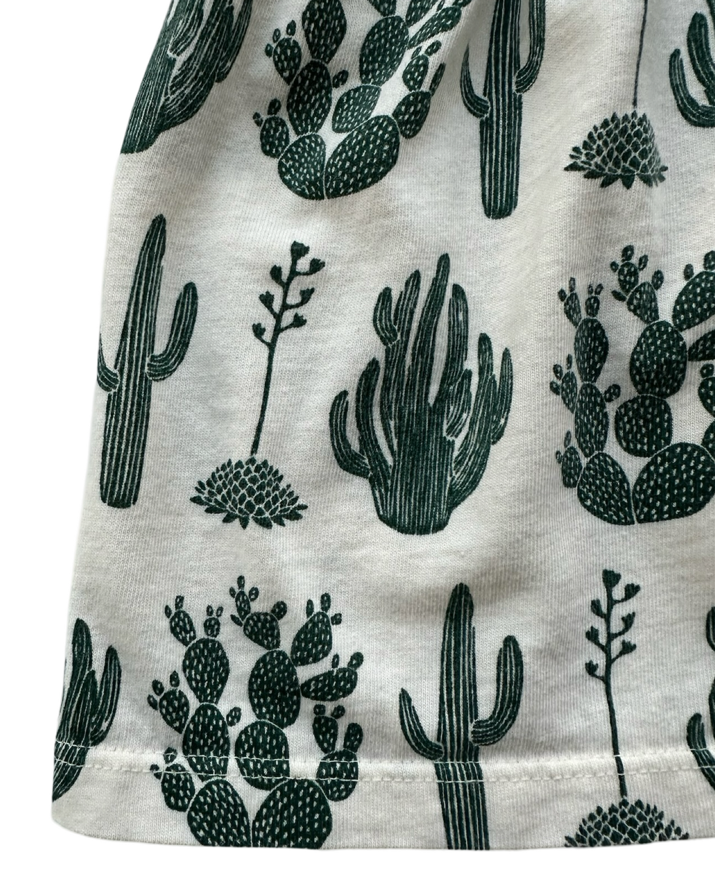 6M Baby Girls Winter Water Factory Long  Sleeve Little Girls Cactus 🌵 🌵 Dress Organic Cotton.