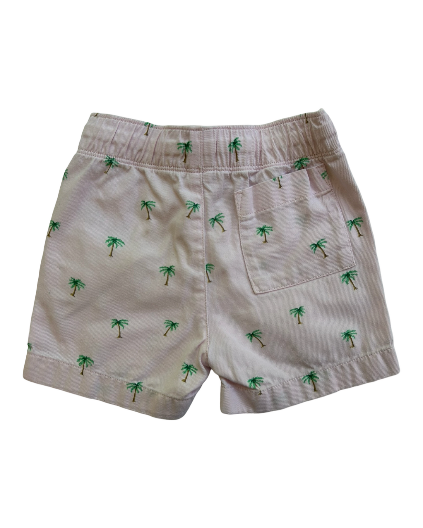 2T Toddler Boy Crewcuts Pink Palm Tree Shorts
