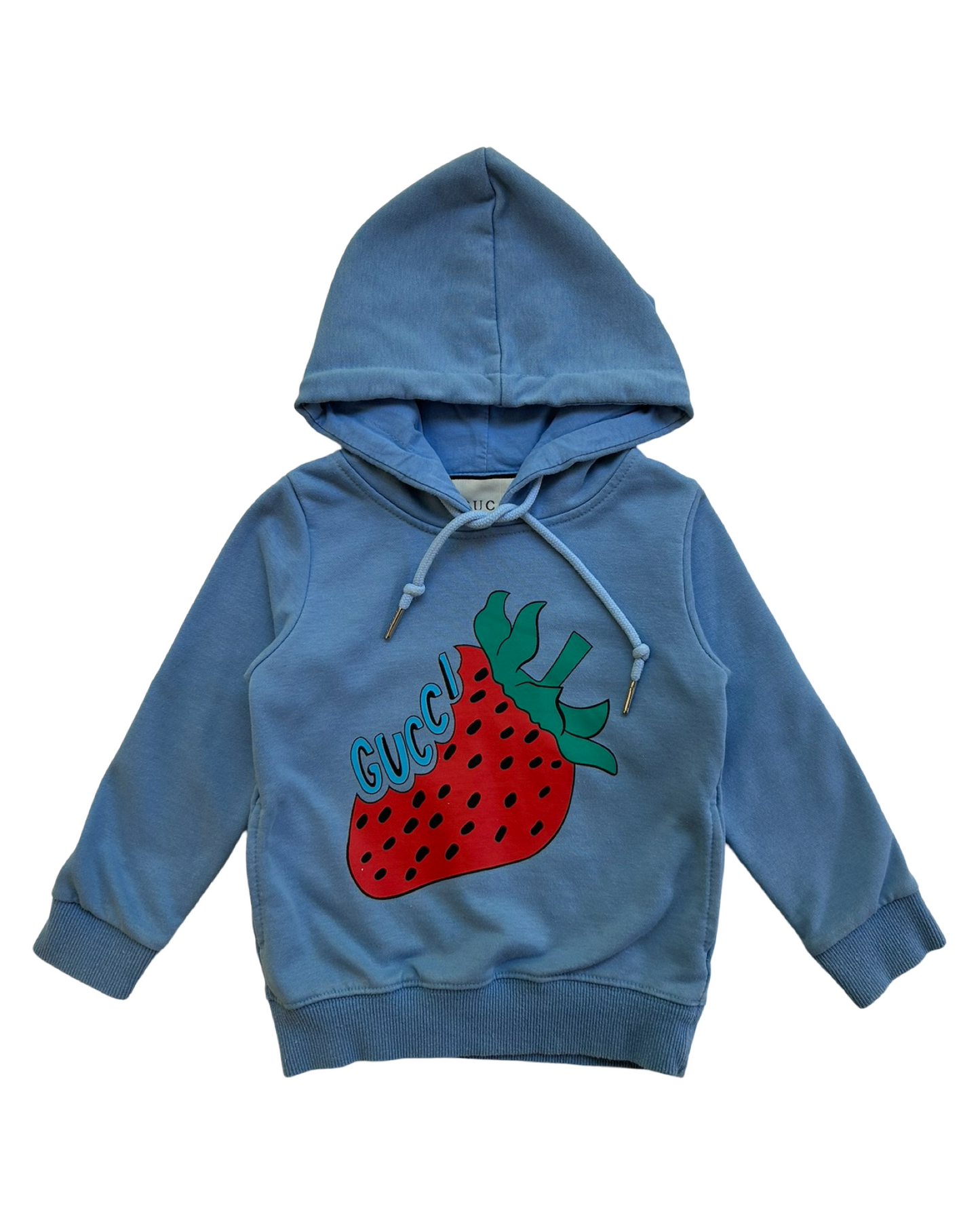 2T / 3T Toddler Boy / Girl Blue Faux Gucci Strawberry Hoodie