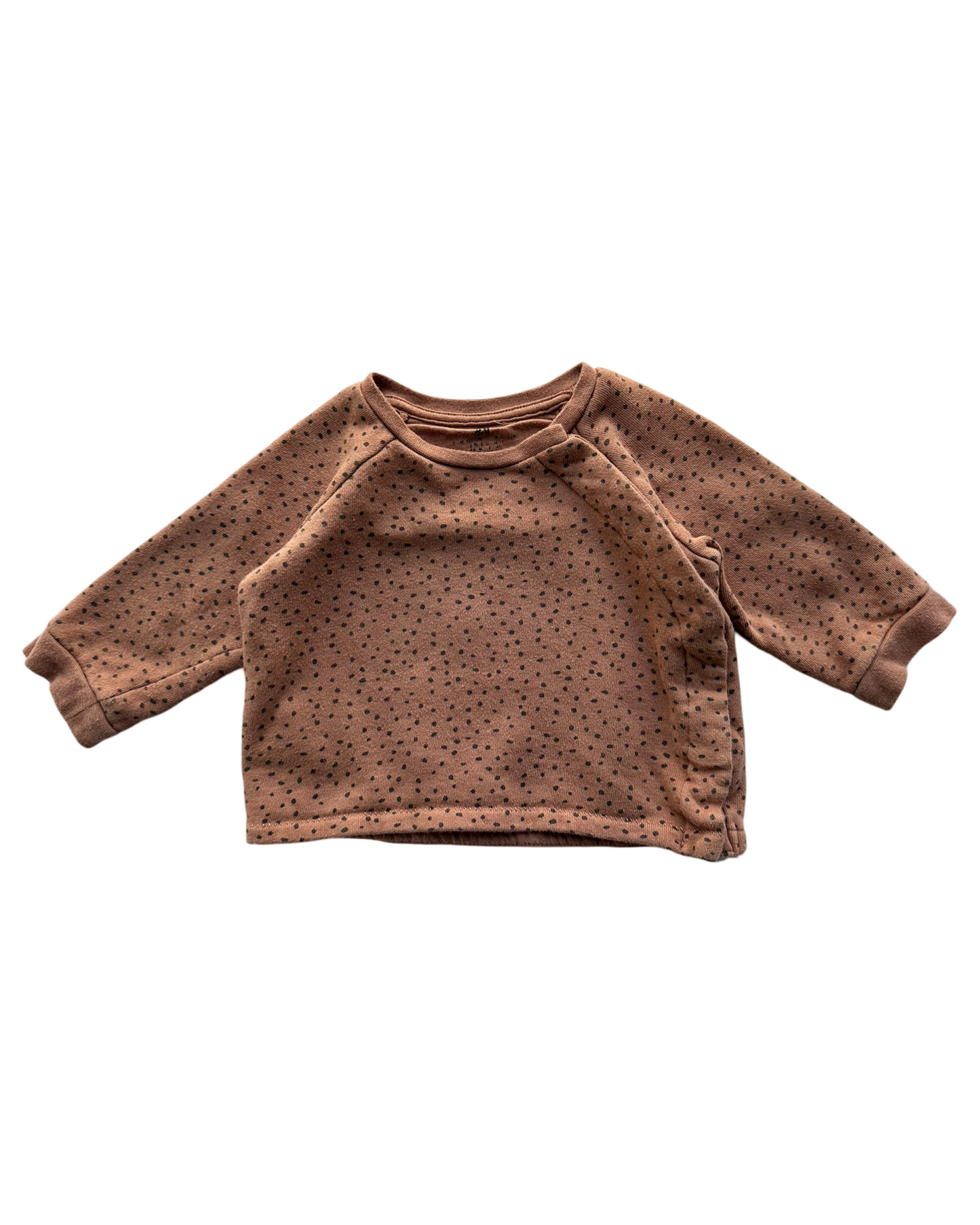 6M Baby Girls H&M Sweatshirt And Pant 2 Pieces Set