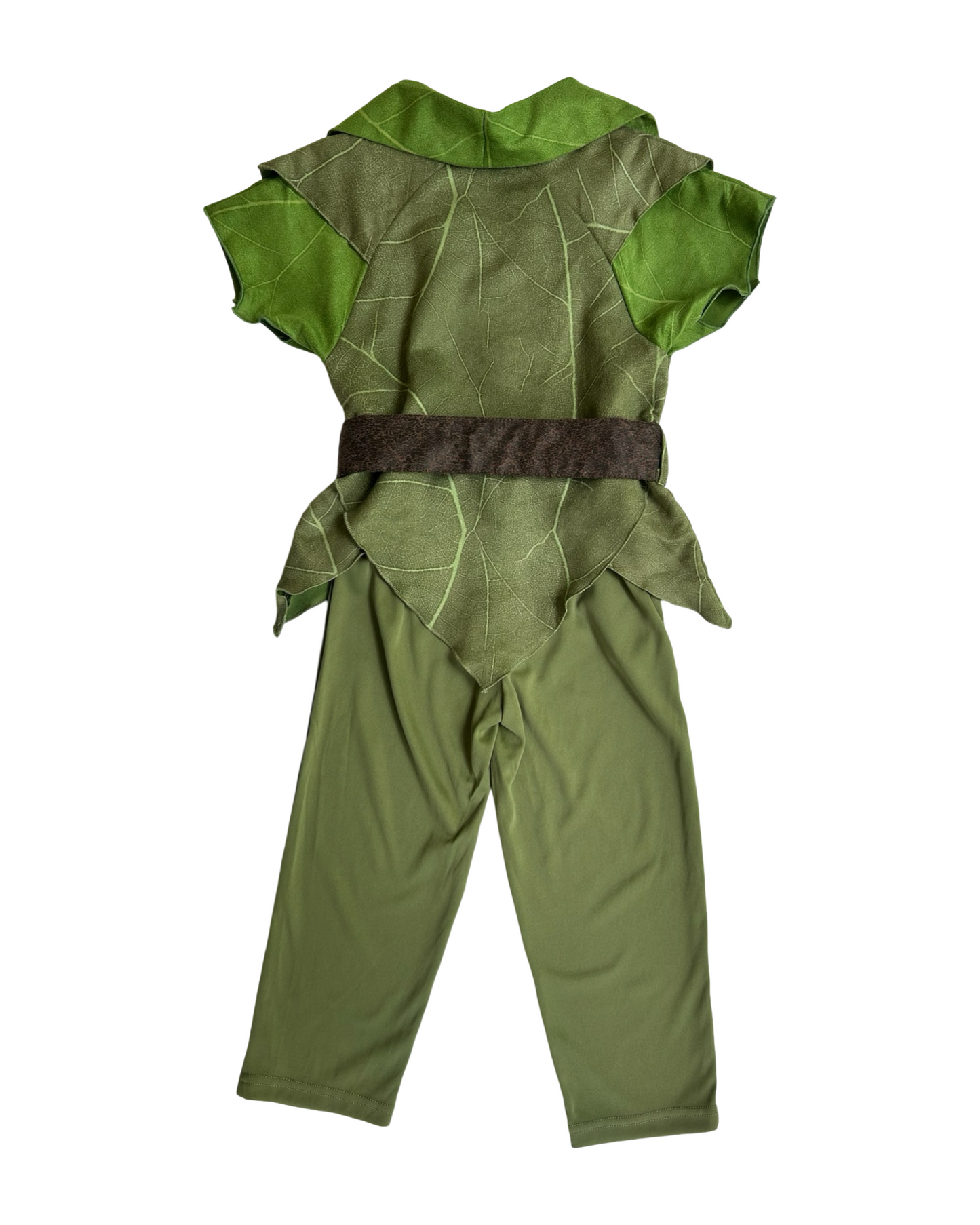 4T Toddler Boy Authentic Disney Store Peter Pan Costume