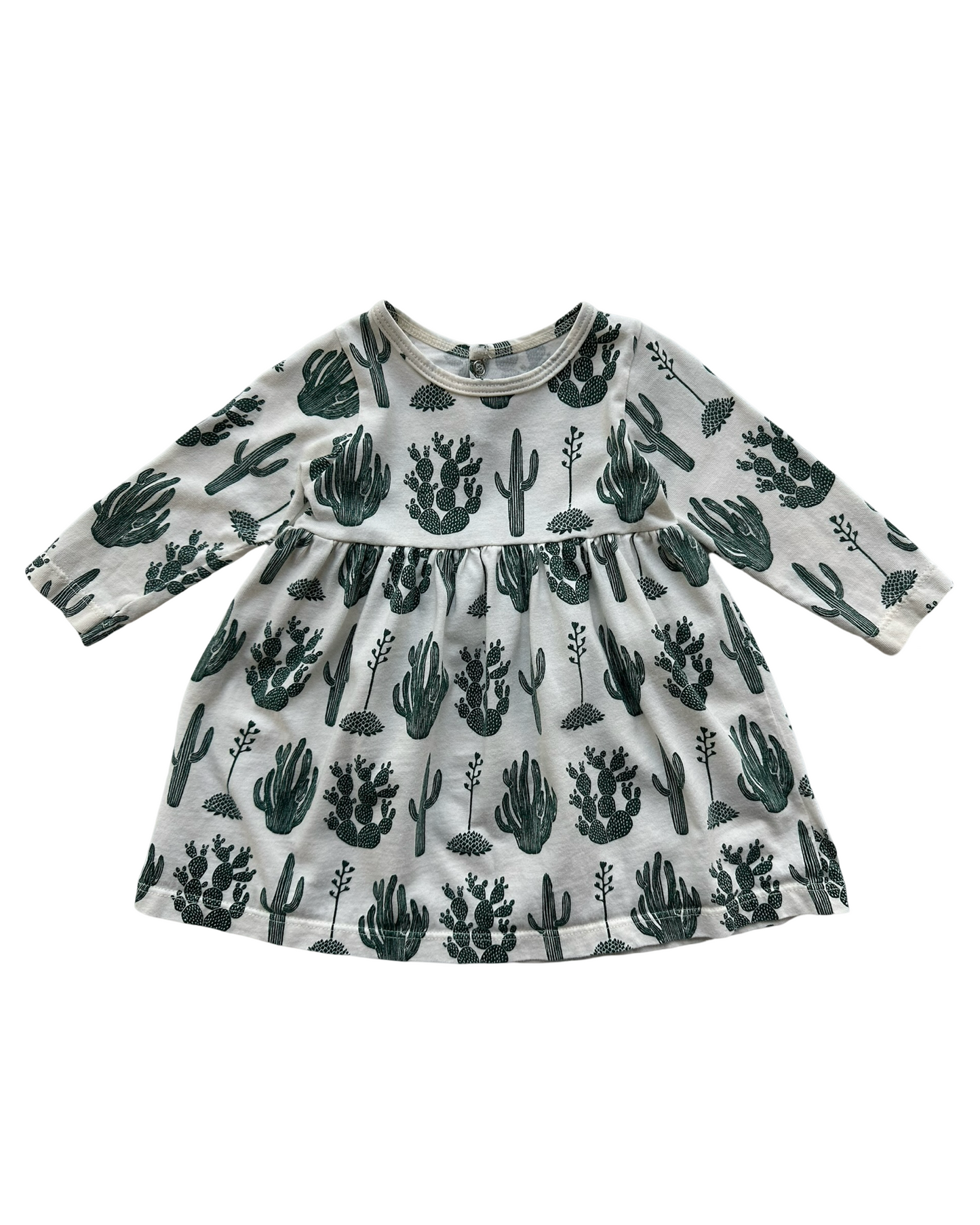 6M Baby Girls Winter Water Factory Long  Sleeve Little Girls Cactus 🌵 🌵 Dress Organic Cotton.
