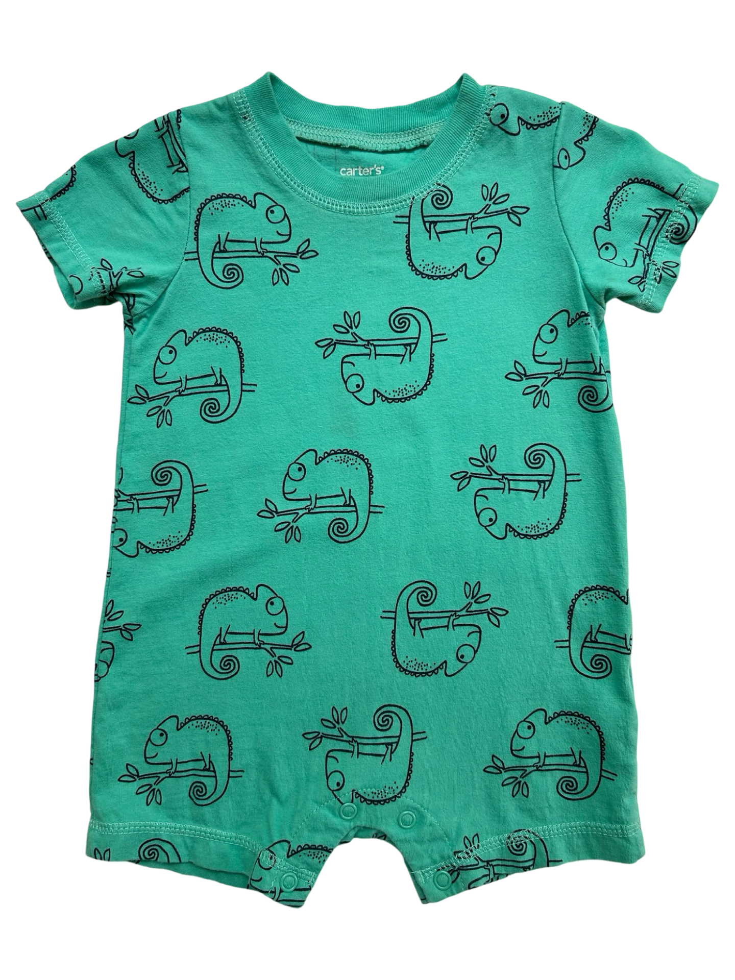 12M Baby Boy Carters Chameleon Romper.