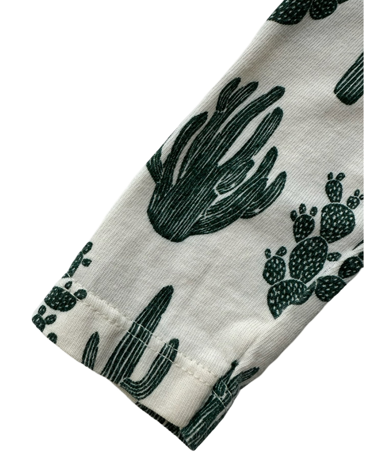 6M Baby Girls Winter Water Factory Long  Sleeve Little Girls Cactus 🌵 🌵 Dress Organic Cotton.