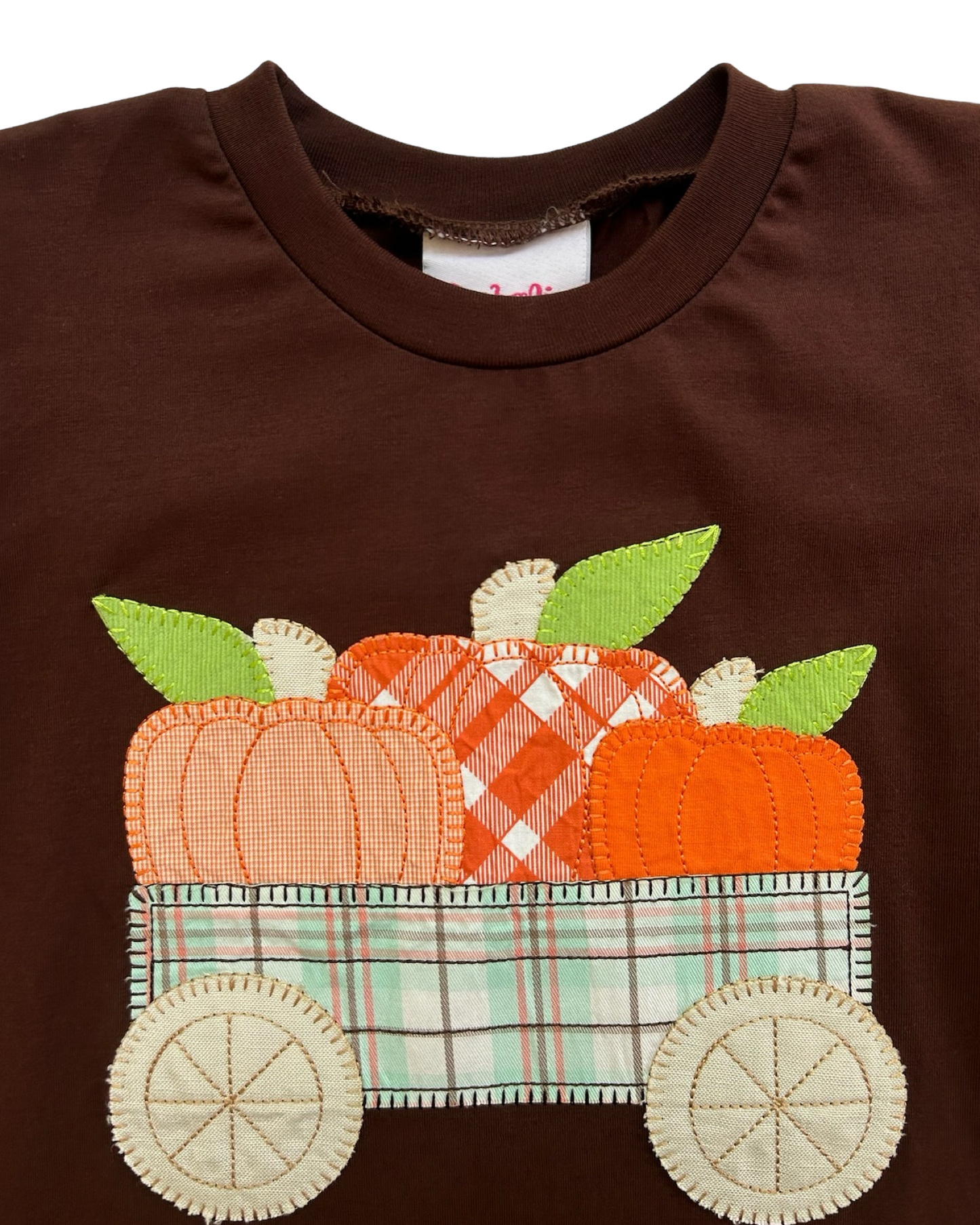 4T Natalie Grant Boutique Fall Pumpkin Appliqué Long Sleeve Shirt Top