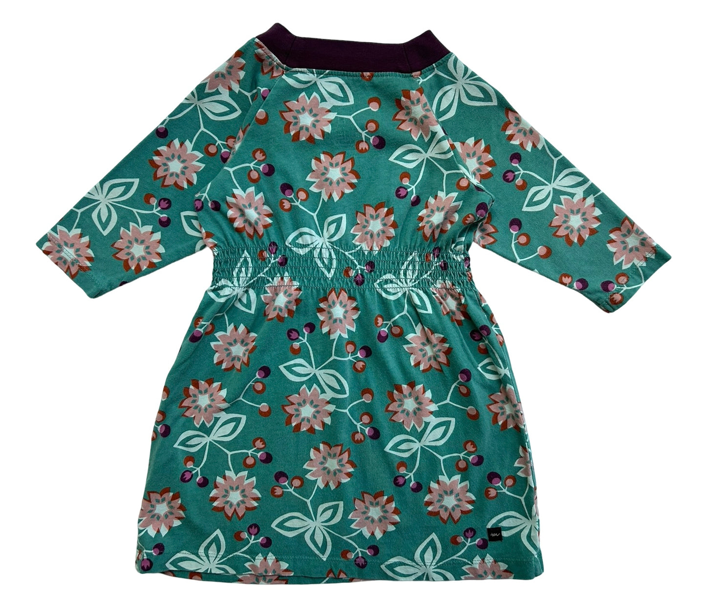 2T Toddler Girl Tea Collection Floral Purple Trim Long Sleeve Dress