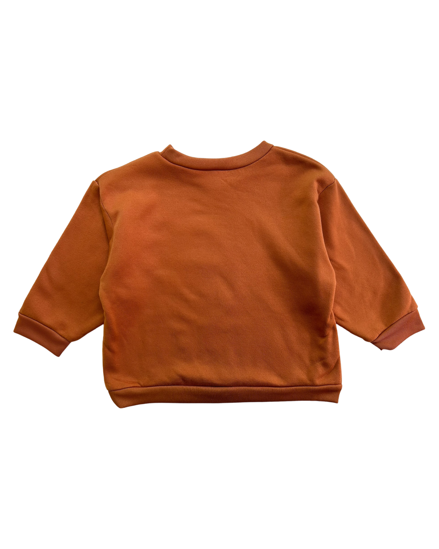 3T Toddler Boy Disney Junior Mickey Mouse Bronze Long Sleeve Pullover Sweater.