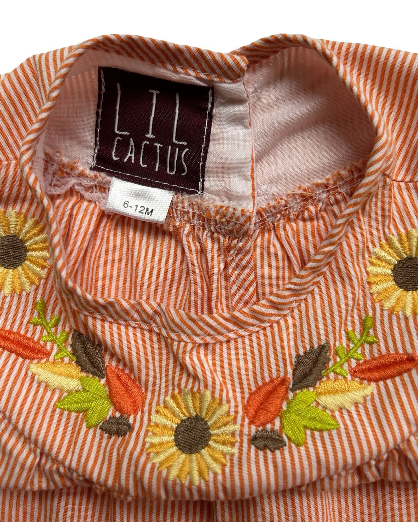 6M-9M Baby Girls Lil Cactus Smocked Embroidered Romper One Piece.