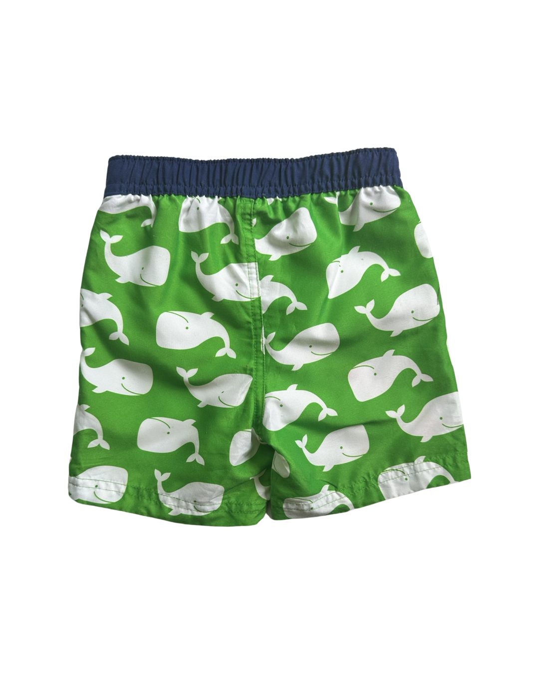 18M Baby Boy Little Me Whale Swim Trunks / Shorts