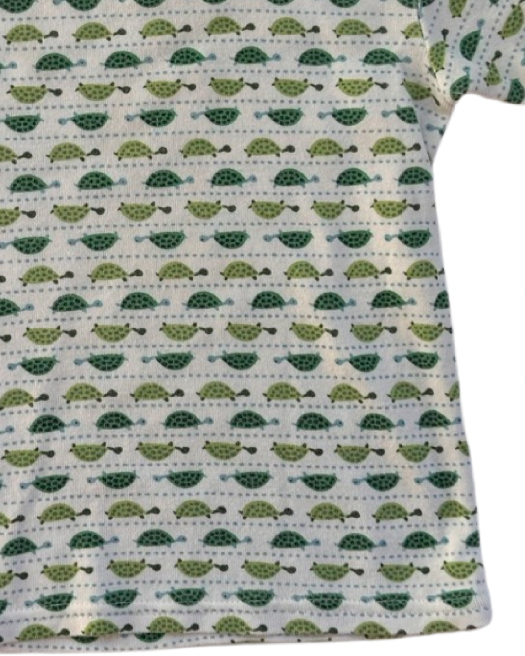 18M-24M Baby Boy Baby Gap Turtle PJs Short Set
