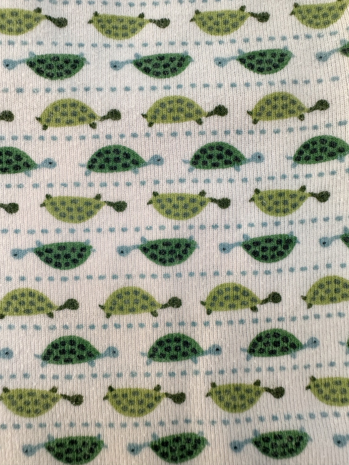 18M-24M Baby Boy Baby Gap Turtle PJs Short Set