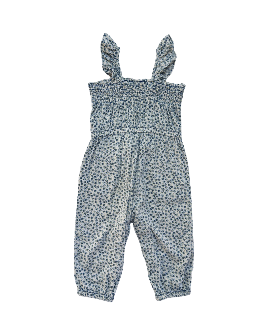 18M-24M Baby Girl Baby Gap Blue Floral Romper Longall