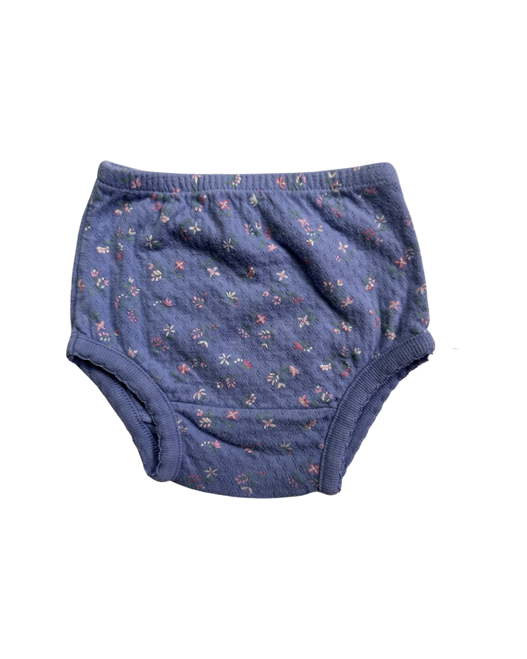 6M Baby Girl Purplish Blue Ralph Lauren Floral Dress w/ Matching Bloomers