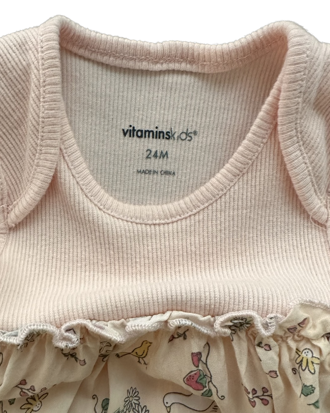 24M Baby Girl VitaminsKids Pink Duck & Strawberry Dresd