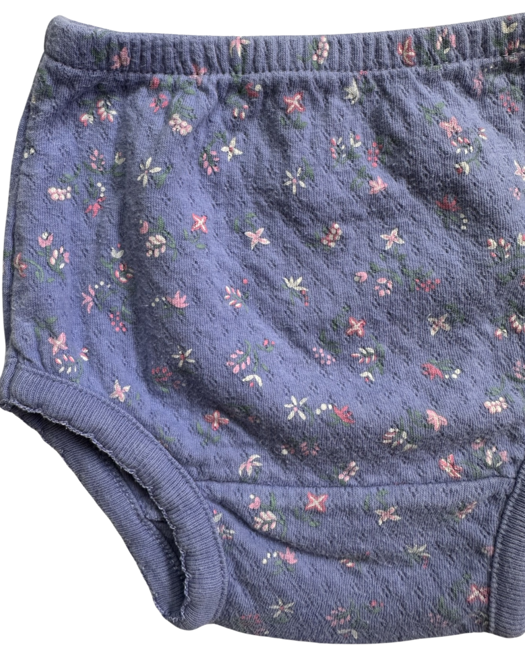 6M Baby Girl Purplish Blue Ralph Lauren Floral Dress w/ Matching Bloomers