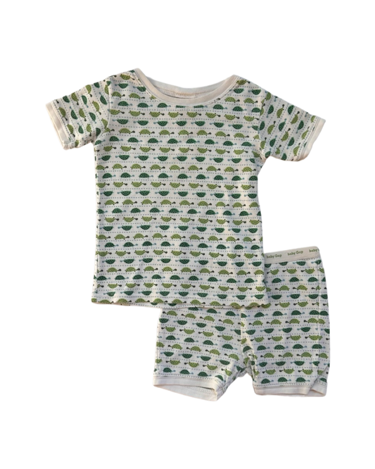 18M-24M Baby Boy Baby Gap Turtle PJs Short Set