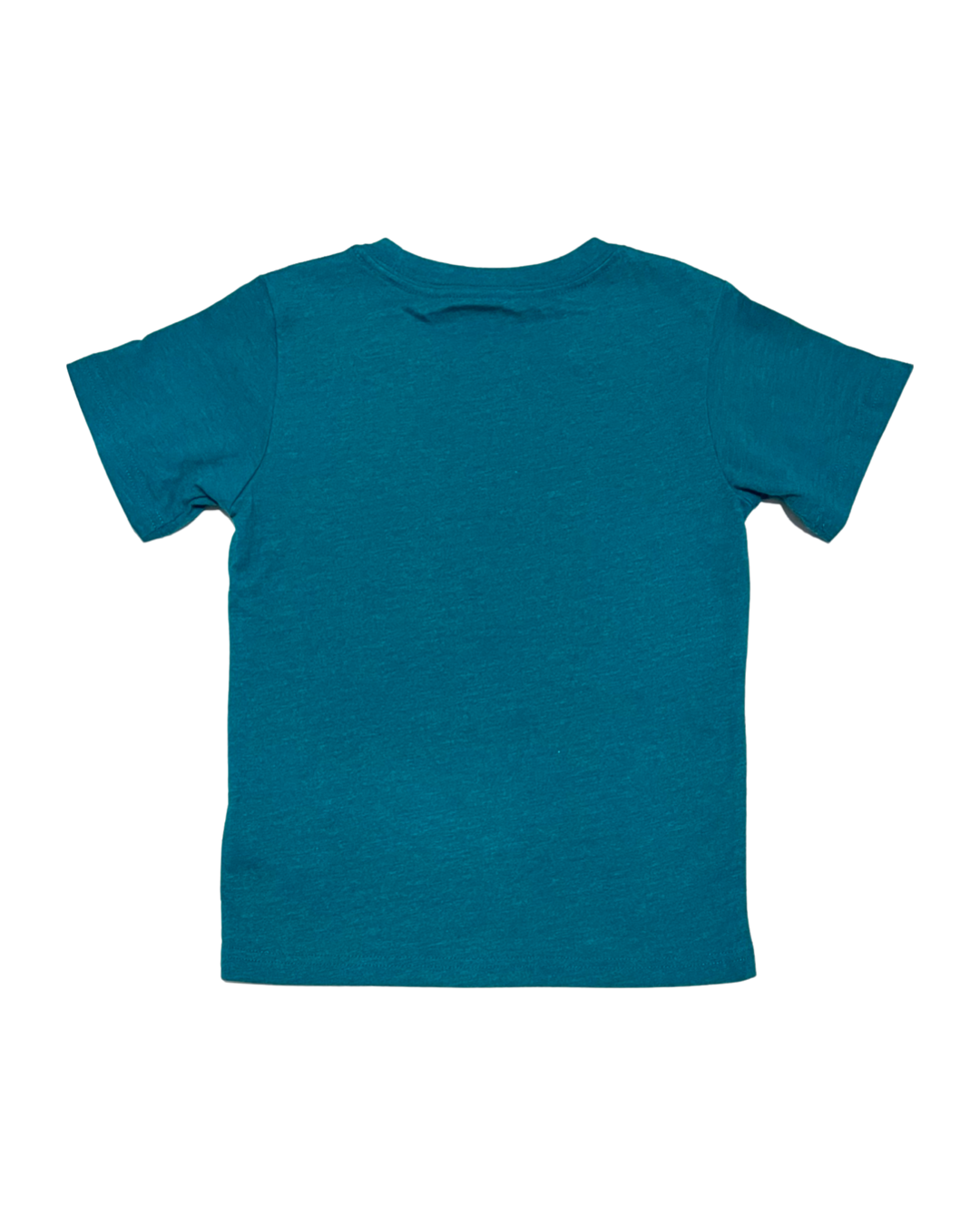 Toddler 5T - 6x Boy / Girl Teal Hurley Shirt
